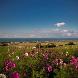 Cap blanc nez 2