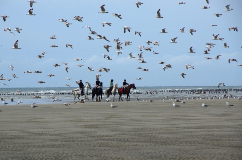 Plages du Nord