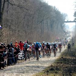 Paris roubaix