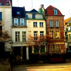 Vieux lille facades baroques 1